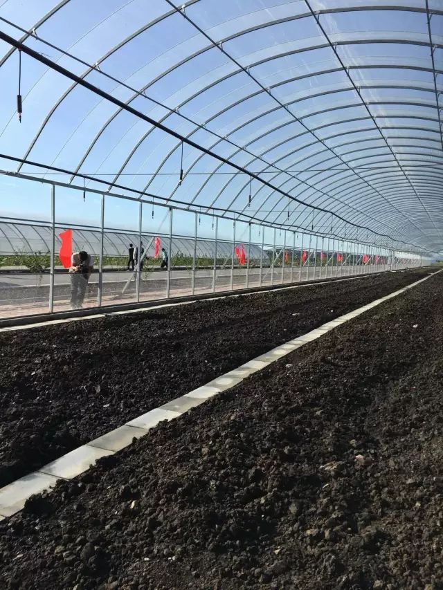 黑龙江海伦富硒大米节(黑龙江海伦大米价格表)-硒宝网