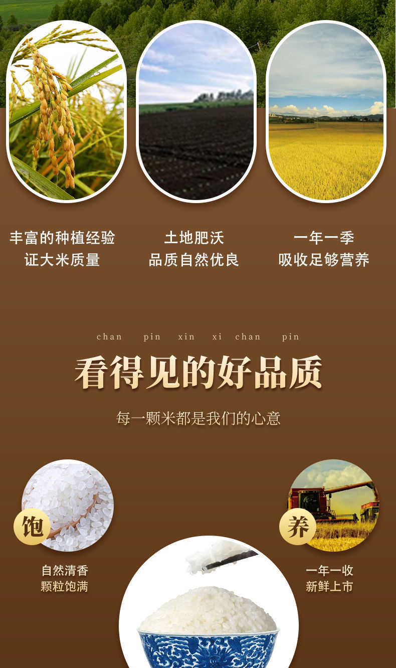 花宜树富硒大米怎么样(富硒大米怎样种植的)-硒宝网