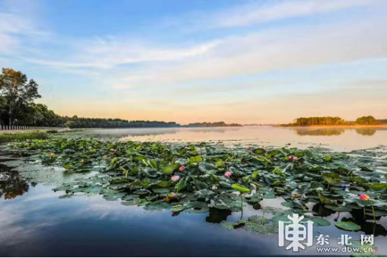 黑龙江省方正富硒大米（方正县富硒米）-硒宝网