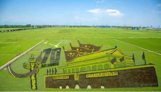 黑龙江省方正富硒大米（方正县富硒米）-硒宝网