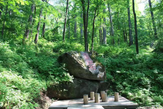 黑龙江省方正富硒大米（方正县富硒米）-硒宝网