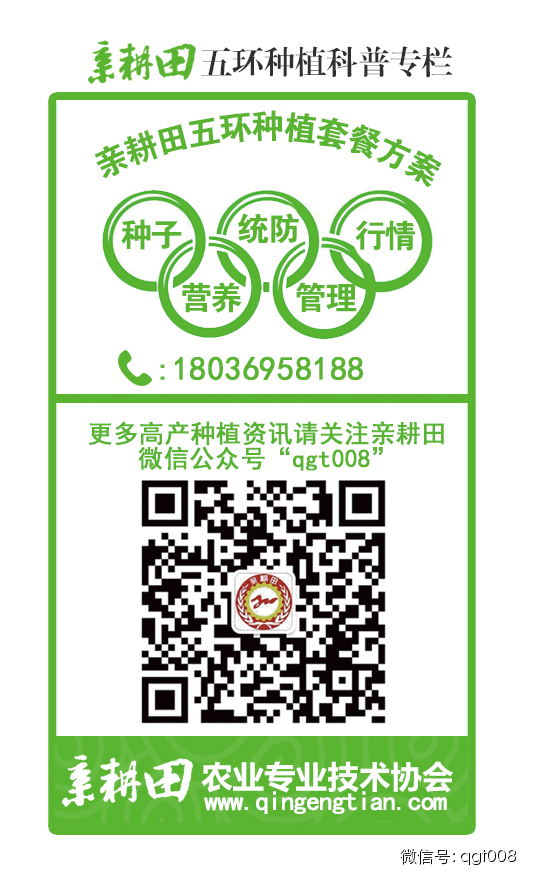 富硒大米适合做什么吃(富硒大米能煮粥吗)-硒宝网