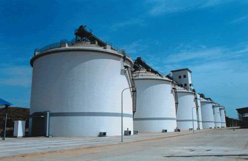 富硒大米适合做什么吃(富硒大米能煮粥吗)-硒宝网