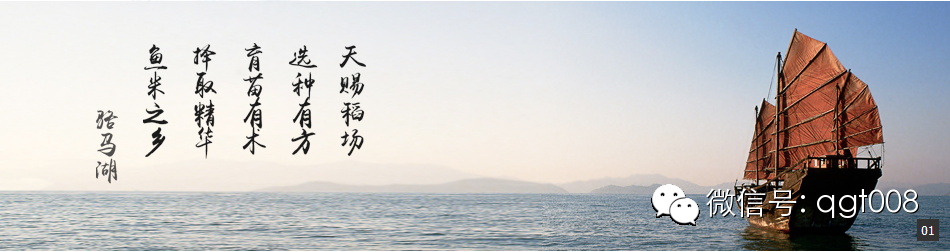 富硒大米适合做什么吃(富硒大米能煮粥吗)-硒宝网