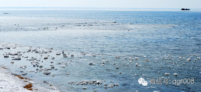 富硒大米适合做什么吃(富硒大米能煮粥吗)-硒宝网