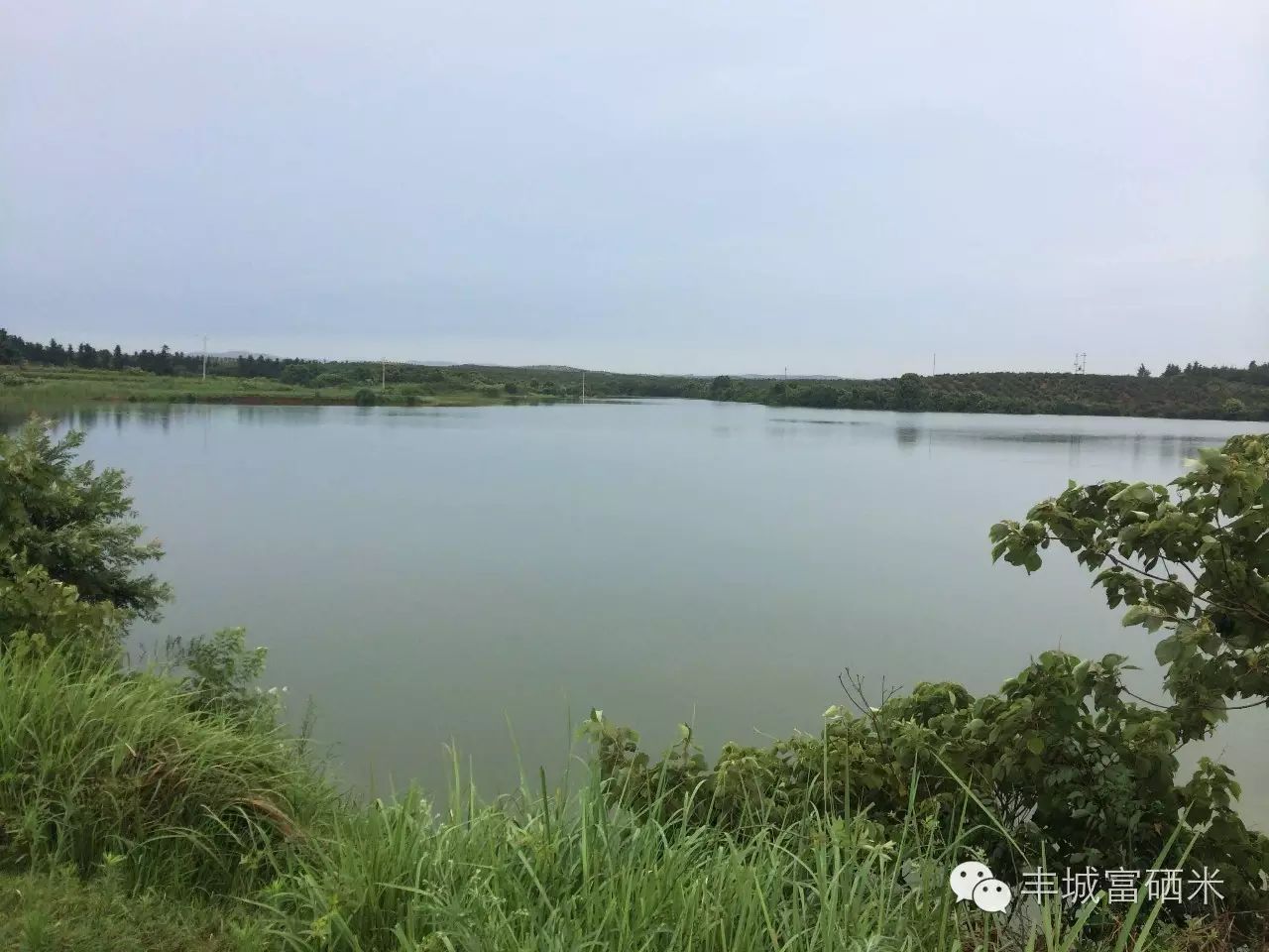 富硒大米适合做什么吃(富硒大米能补硒吗)-硒宝网