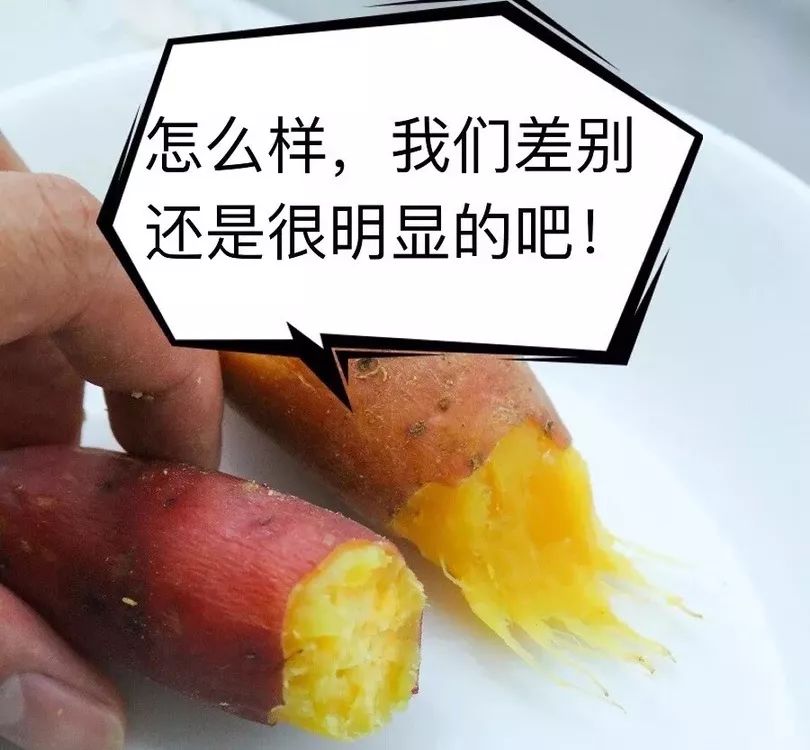 富硒大米适合做什么吃(富硒大米可以随便吃吗)-硒宝网