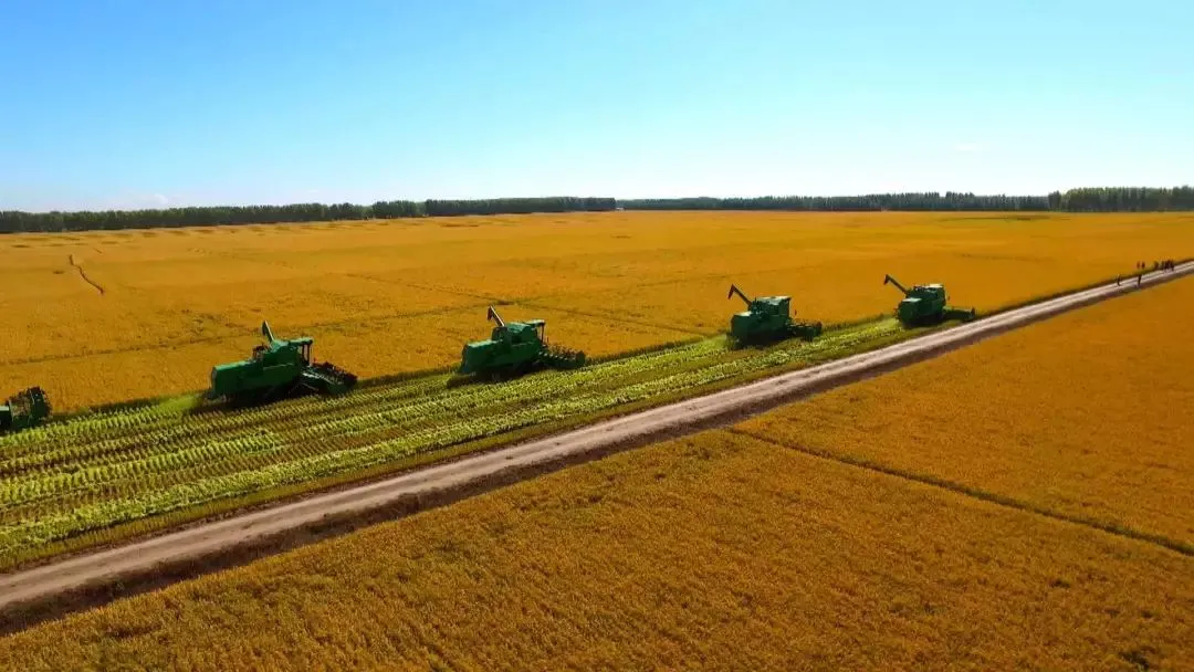 黑龙江海伦市富硒大米(黑龙江海伦富硒大米多少钱一斤)-硒宝网