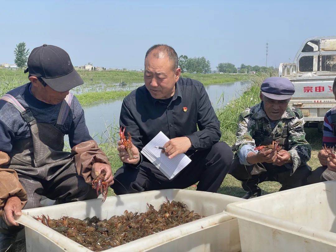 富硒大米一亩地多少钱(富硒的大米)-硒宝网