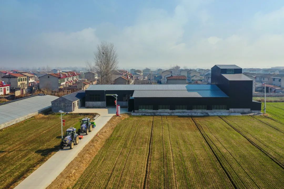 富硒大米一亩地多少钱(富硒的大米)-硒宝网