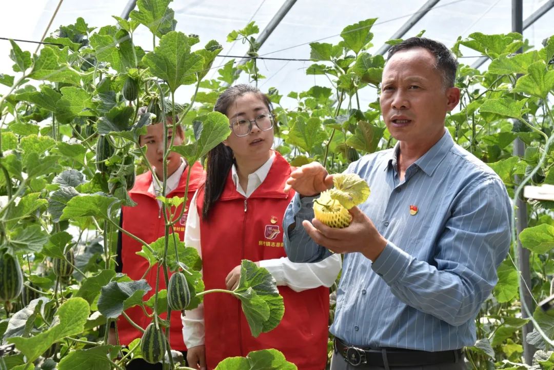 富硒大米一亩地多少钱(富硒的大米)-硒宝网