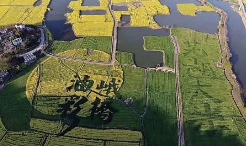 富硒大米哪一种好吃点（富硒大米好在哪）-硒宝网