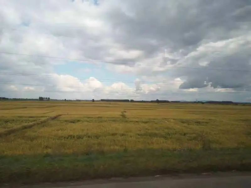 千亩有机富硒五常大米（五常大米硒含量）-硒宝网