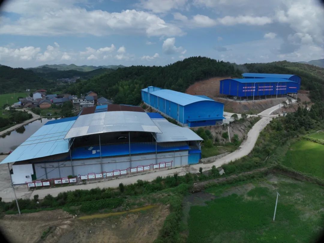 种一次收两次富硒大米(富硒大米种植技术)-硒宝网