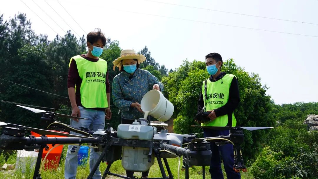 种一次收两次富硒大米(富硒大米种植技术)-硒宝网