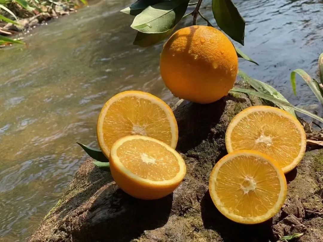 种一次收两次富硒大米(富硒大米种植技术)-硒宝网