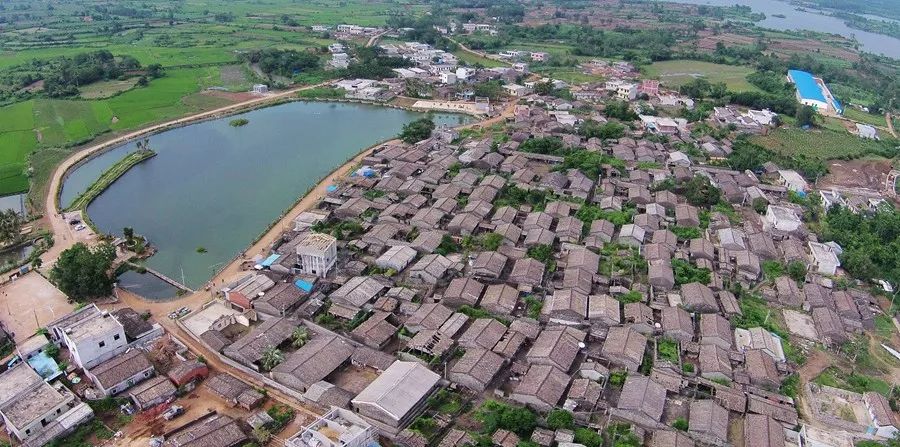 澄迈桥头富硒地瓜地址(澄迈桥头地瓜多少钱一斤)-硒宝网