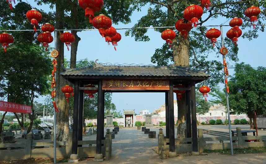 澄迈桥头富硒地瓜地址(澄迈桥头地瓜多少钱一斤)-硒宝网