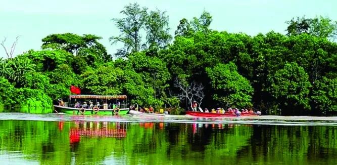 澄迈桥头富硒地瓜地址(澄迈桥头地瓜多少钱一斤)-硒宝网