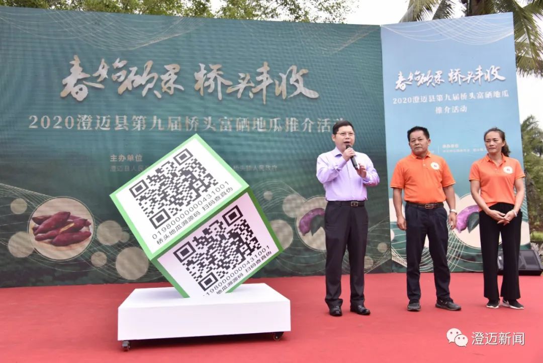 桥头富硒地瓜种植面积(桥头种植地瓜面积富硒多少)-硒宝网