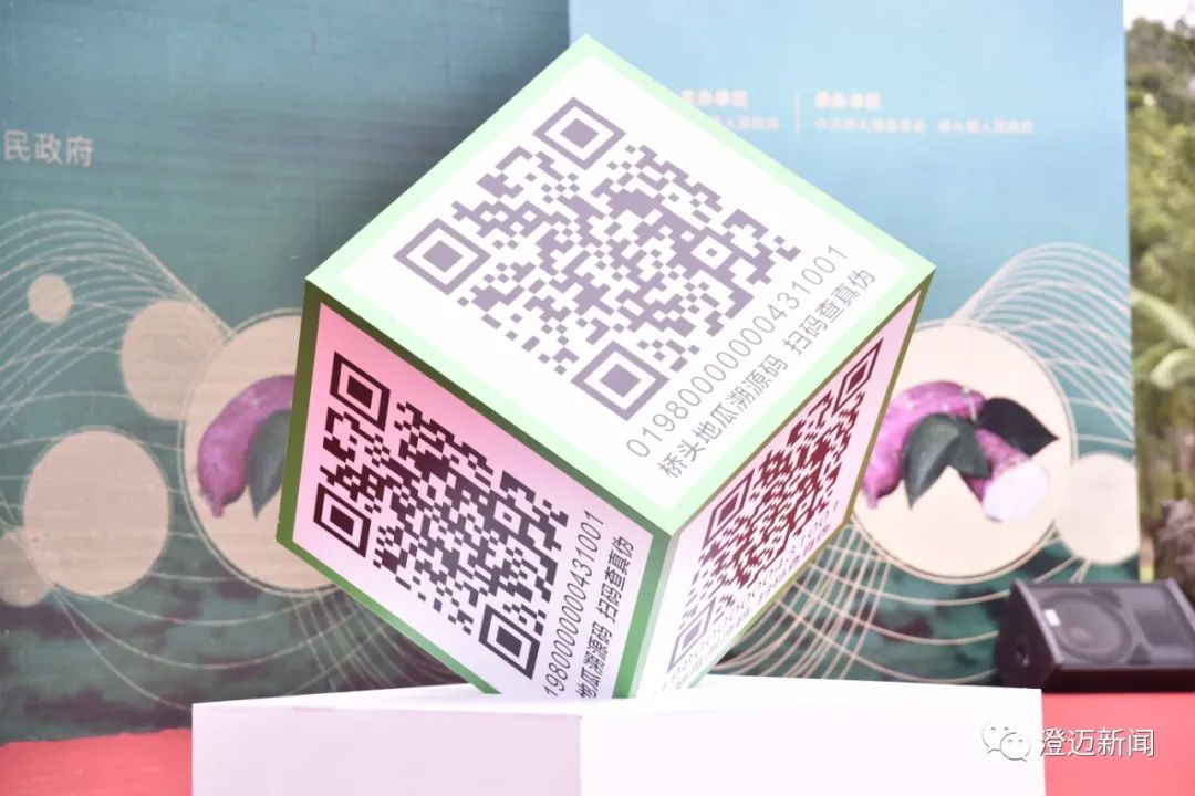 桥头富硒地瓜种植面积(桥头种植地瓜面积富硒多少)-硒宝网