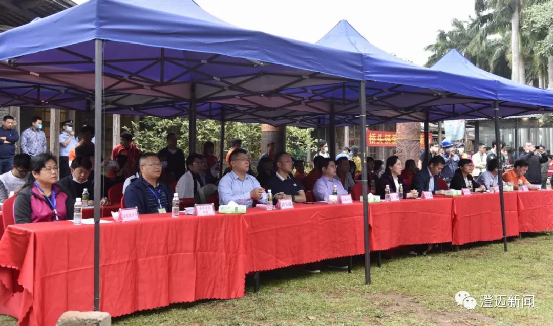 桥头富硒地瓜种植面积(桥头种植地瓜面积富硒多少)-硒宝网