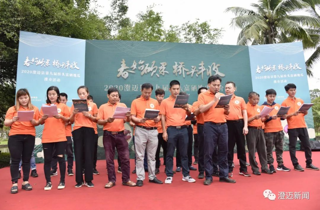 桥头富硒地瓜种植面积(桥头种植地瓜面积富硒多少)-硒宝网