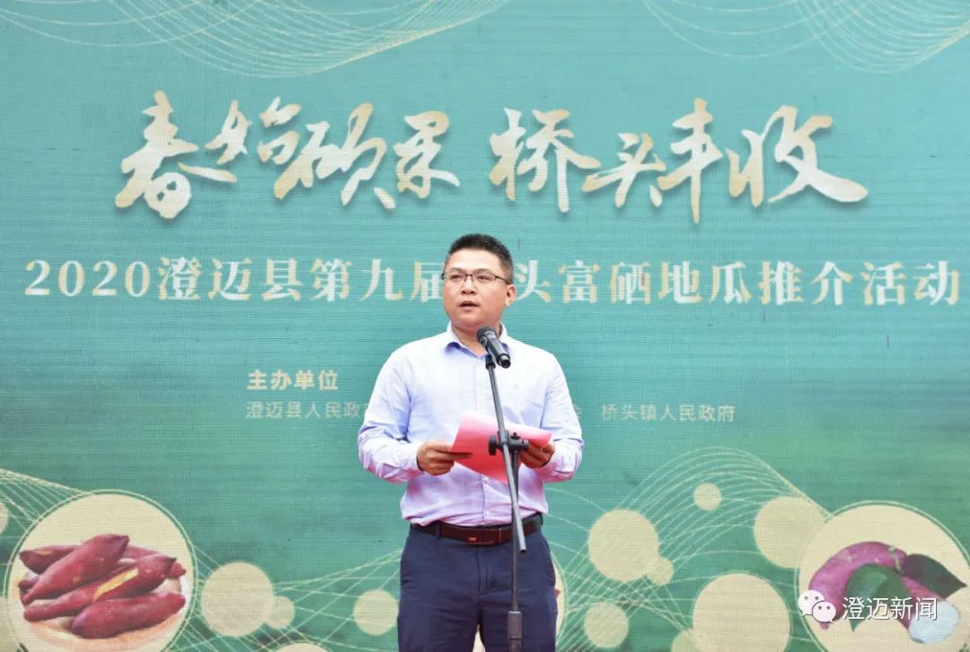 桥头富硒地瓜种植面积(桥头种植地瓜面积富硒多少)-硒宝网