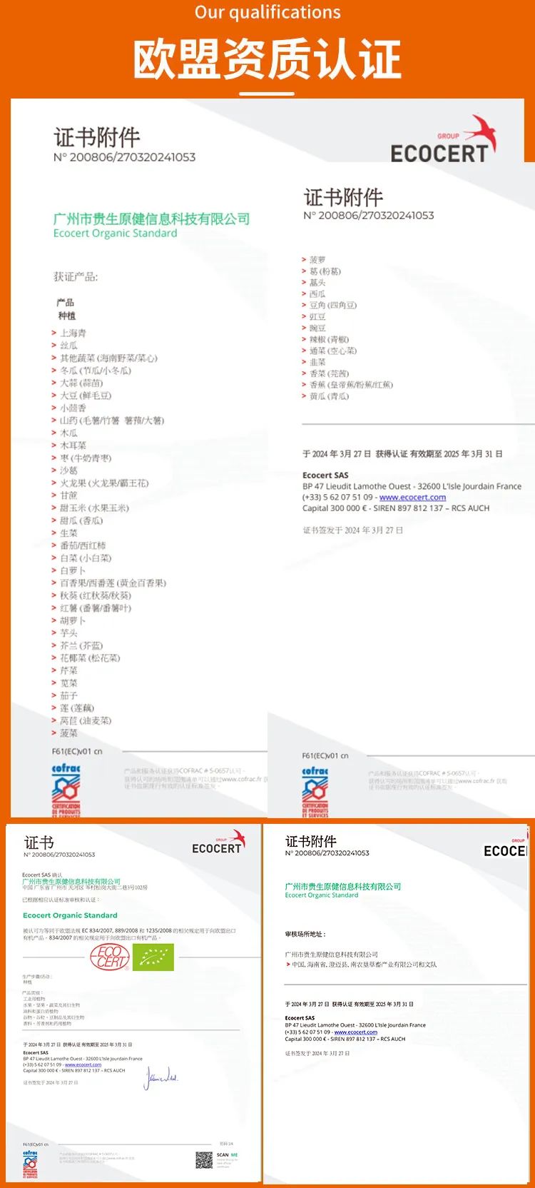 富硒地瓜成熟期多少天(地瓜富硒标准)-硒宝网