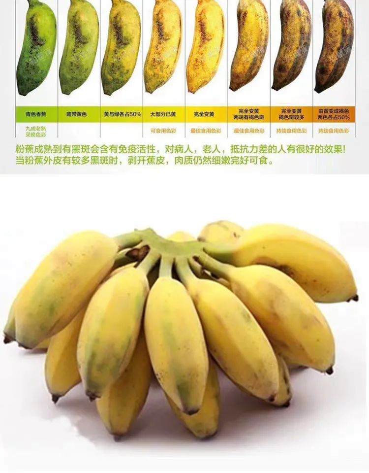 富硒地瓜成熟期多少天(地瓜富硒标准)-硒宝网