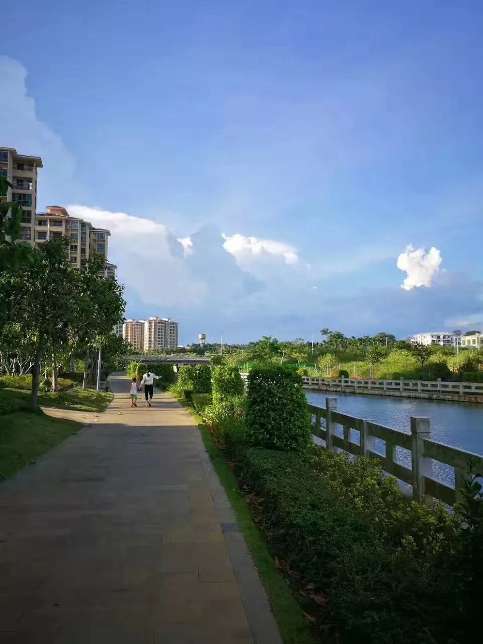 富硒地瓜怎么补充硒呢（地瓜补充富硒硒含量多少）-硒宝网