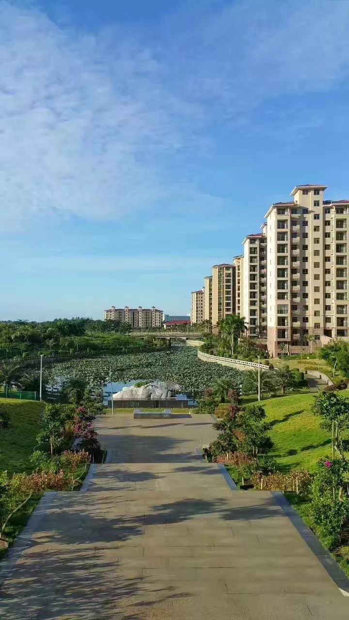 富硒地瓜怎么补充硒呢（地瓜补充富硒硒含量多少）-硒宝网