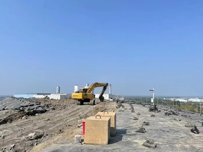 海南澄迈富硒桥头地瓜（澄迈桥头富硒地瓜简介）-硒宝网