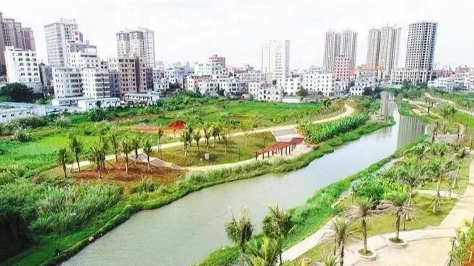 海南澄迈富硒桥头地瓜（澄迈桥头富硒地瓜简介）-硒宝网