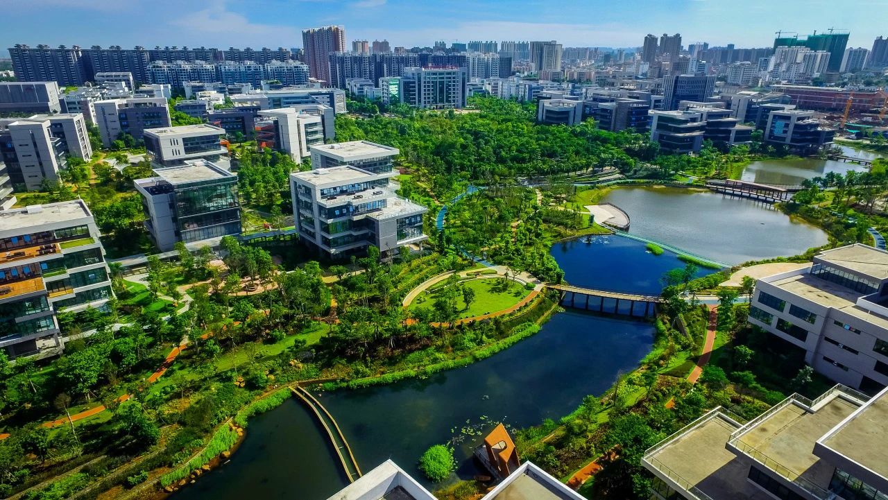 海南澄迈富硒桥头地瓜（澄迈桥头富硒地瓜简介）-硒宝网