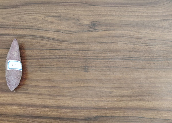 海南桥头富硒地瓜测评(海南桥头地瓜好吃不)-硒宝网