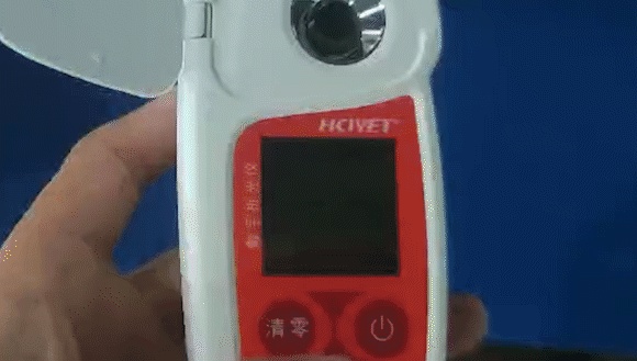 海南桥头富硒地瓜测评(海南桥头地瓜好吃不)-硒宝网