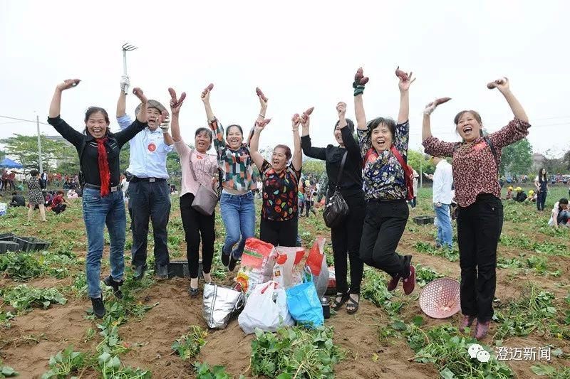 海南桥头富硒地瓜新闻（海南桥头地瓜营养）-硒宝网