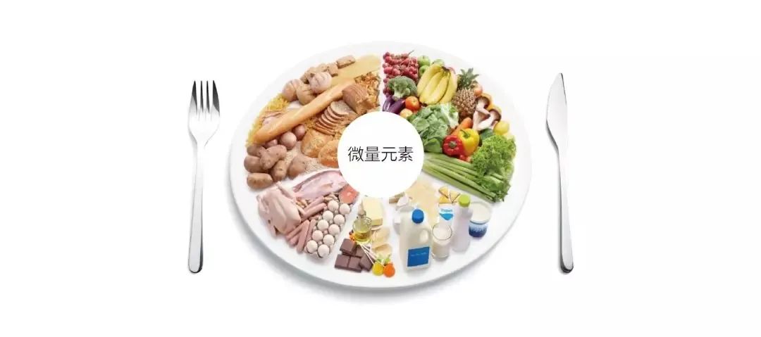 检查微量元素可以吃饭吗（微量元素吃饭可以查吗）-硒宝网