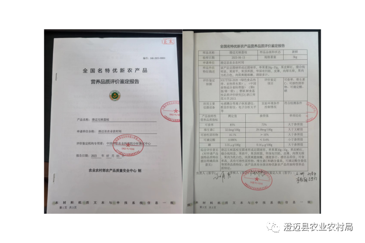 海南桥头富硒地瓜特点(海南桥头地瓜营养价值)-硒宝网