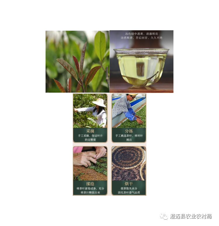 海南桥头富硒地瓜特点(海南桥头地瓜营养价值)-硒宝网