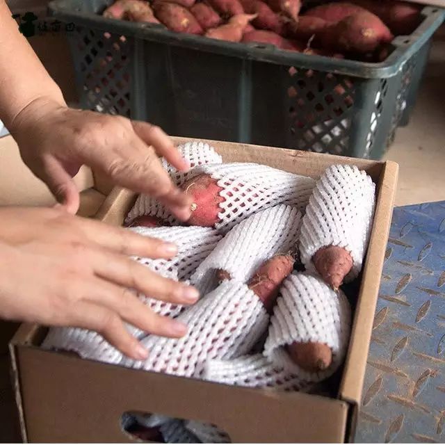 海南桥头富硒地瓜新闻(海南桥头地瓜真的富含硒吗)-硒宝网