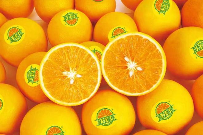 海南富硒地瓜种植条件(海南的富硒地瓜)-硒宝网