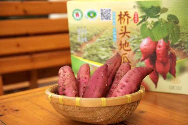 海南富硒地瓜种植条件(海南的富硒地瓜)-硒宝网