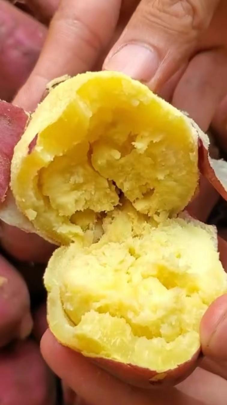 海南桥头富硒板栗地瓜（海南桥头板栗薯）-硒宝网