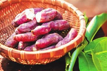 海南桥头富硒地瓜口感(海南桥头地瓜营养)-硒宝网