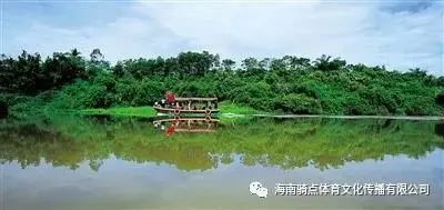 儋州富硒地瓜种植时间（富硒地瓜苗哪里有卖）-硒宝网