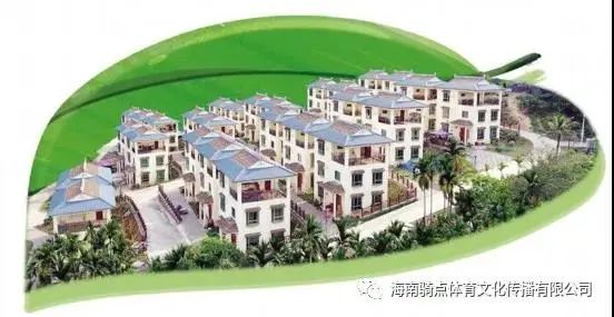 儋州富硒地瓜种植时间（富硒地瓜苗哪里有卖）-硒宝网