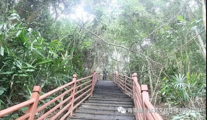 儋州富硒地瓜种植时间（富硒地瓜苗哪里有卖）-硒宝网