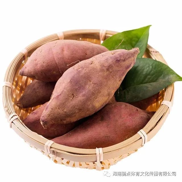 儋州富硒地瓜种植时间（富硒地瓜苗哪里有卖）-硒宝网